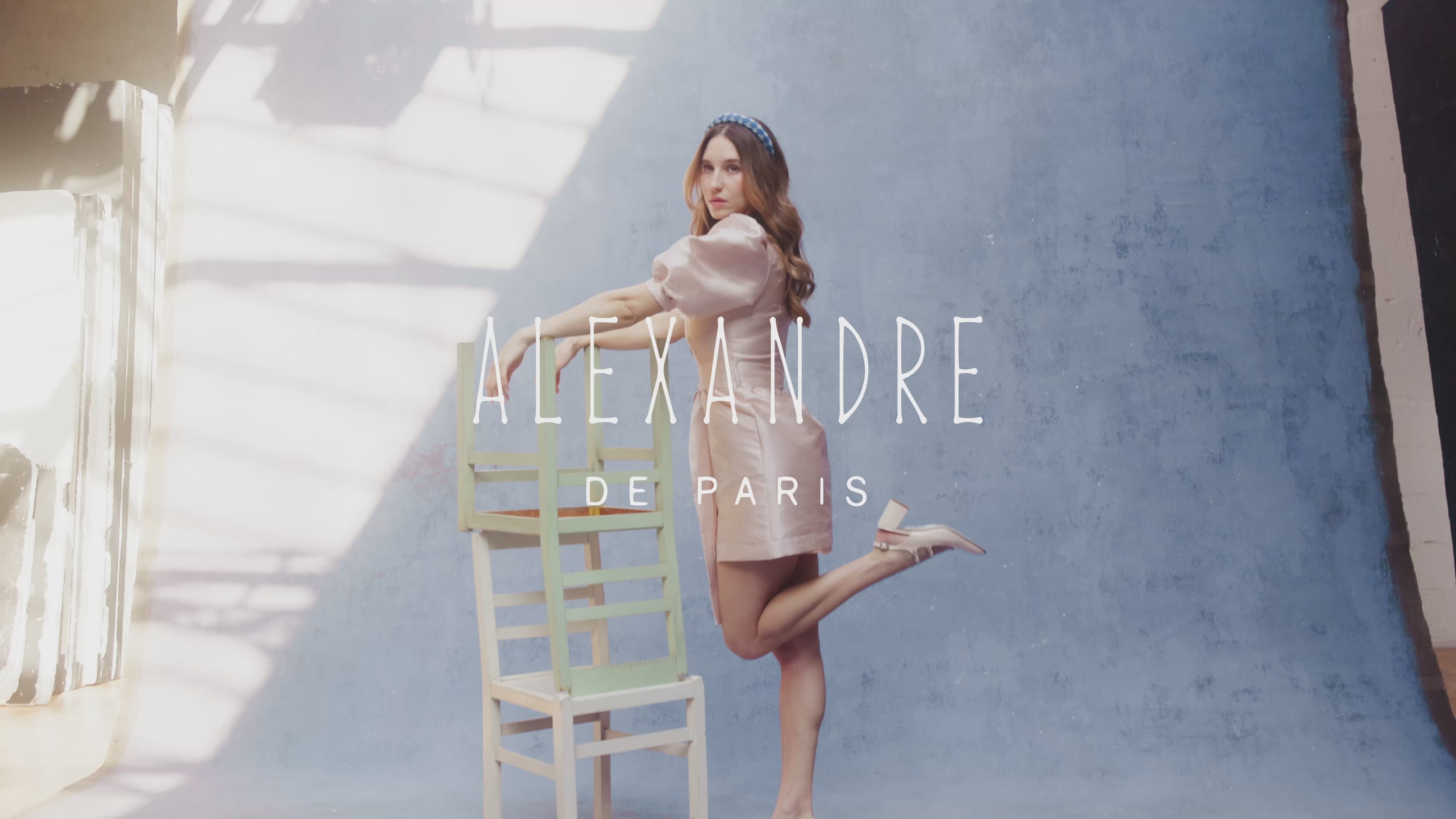 未使用　ALEXANDRE DE PARIS ALEXANDRE DE PARIS（アレクサンドル ドゥ パリ） ヘアクリップ